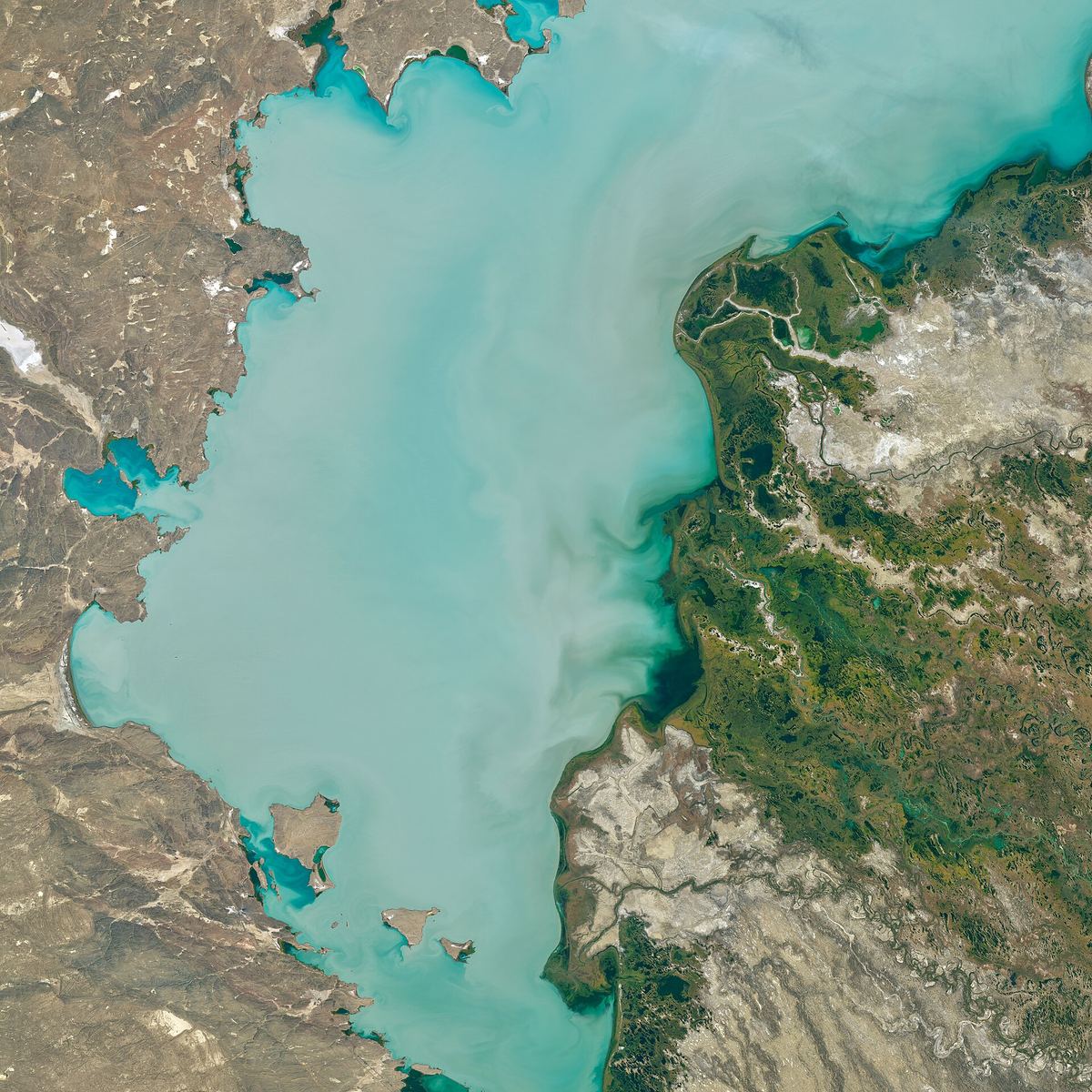 Satellitenbild des Balchaschsees in Kasachstan mit grünem und blauem Seeteil